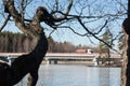 A road bridge over a river in the Karelian region Royalty Free Stock Photo