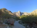 Road canyon Guadalupe baja California hiking spring vacation mountain Creek relax desert