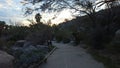 Road canyon Guadalupe baja California hiking spring vacation mountain Creek relax desert