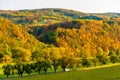 Road with car in czech countryside in autumn Royalty Free Stock Photo