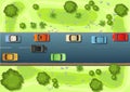 Road with car traffic. View from above. Meadow and fields with trees. Modern cars. Cartoon cute style illustration. Cars