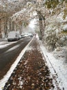 A first snow in the city.Road with leaves covered snow