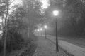 Road with classic street lamps in the mist