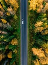 Road in the autumn forest aerial view Royalty Free Stock Photo