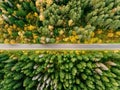 Road in the autumn forest aerial view Royalty Free Stock Photo