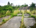 Road of concrete slabs in the park. Green grass around and between gray concrete slabs Royalty Free Stock Photo