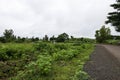 road connected to the countryside area, farmland in the both side of the road, cloudy weather in the background Royalty Free Stock Photo