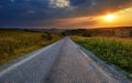 Road through corn fields at sunset Royalty Free Stock Photo