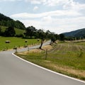 Road in countryside Royalty Free Stock Photo