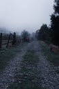 Road in countryside. Morning foggy pathway in Carpathian village. Footpath in autumn field with fence. Rural dirty road in mist Royalty Free Stock Photo