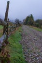 Road in countryside. Morning foggy pathway in Carpathian village. Footpath in autumn field with fence. Rural dirty road in mist Royalty Free Stock Photo