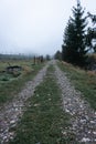 Road in countryside. Morning foggy pathway in Carpathian village. Footpath in autumn field with fence. Rural dirty road in mist