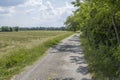 road in countryside near Isozo river, near Cona island conservation area, Staranzano, Friuli, Italy