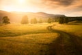 Road in the countryside at sunset