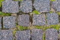 The road is covered with gray paving stones. The seams are overgrown with moss and grass. Royalty Free Stock Photo