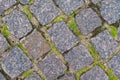 The road is covered with gray paving stones. The seams are overgrown with moss and grass. Royalty Free Stock Photo