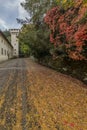 Road covered in leaves with autumn colors at the Vallombrosa Abbey, Reggello, Florence, Italy Royalty Free Stock Photo