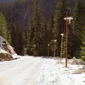 Road covered with snow