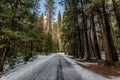 Road covered with snow at winter - Yosemite National Parl, California, USA Royalty Free Stock Photo