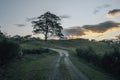 Rural Road Fiery Sunset Royalty Free Stock Photo