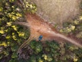 Road crossroad tree nature aerial field green rural country dirt top drone forest view car high through meadow above route trail Royalty Free Stock Photo