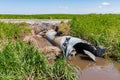 Road and culvert damage due to flooding and water erosion. Royalty Free Stock Photo