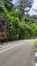 Road curve with line to the mountains green tree forest on roadside Royalty Free Stock Photo