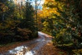 A road curves through the autumn trees on Mackinac Island