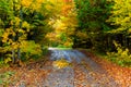 A road curves through the colorful autumn trees on Mackinac Island Royalty Free Stock Photo