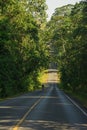 Road cut through the forest Royalty Free Stock Photo