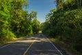 Road cut through the forest Royalty Free Stock Photo