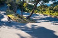 Road cycling sport photo. Man on bicycle ride in green summer nature