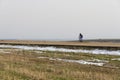 Road Cyclist in Winter Royalty Free Stock Photo