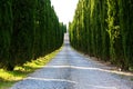 Road with cypresses near Volterra Royalty Free Stock Photo