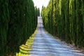 Road with cypresses near Volterra Royalty Free Stock Photo