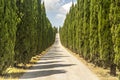 Road with cypresses in Tuscany Royalty Free Stock Photo