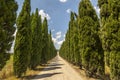 Road with cypresses in Tuscany Royalty Free Stock Photo