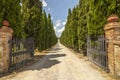 Road with cypresses in Tuscany Royalty Free Stock Photo