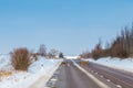 Roe deers crossing a road Royalty Free Stock Photo