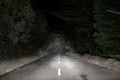 The road in the dark florest Royalty Free Stock Photo