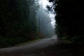 A road through a dark foggy misty forest Royalty Free Stock Photo