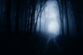 Road through dark haunted forest with blue fog Royalty Free Stock Photo