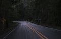 Road on the dark view on the mountain road among green forest trees - curve asphalt road lonely scary at night Royalty Free Stock Photo