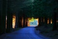 Road through deep forest Royalty Free Stock Photo