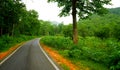 The Road in Dense Green forest of Daringbadi in Odisha