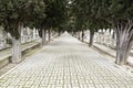 Road with depth in a cemetery