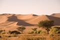 Road on a desert in Africa