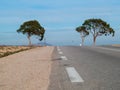 Road in the desert in Tunisia, two trees in the background Royalty Free Stock Photo