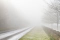 Road disappearing into fog Royalty Free Stock Photo