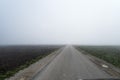 Road disappearing into fog.